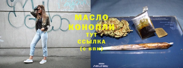 индика Беломорск