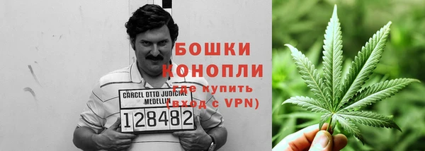 твердый Сосновоборск