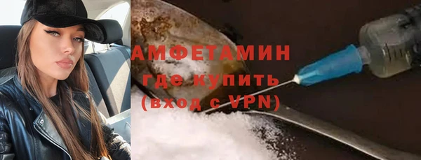 индика Беломорск