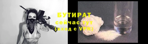 индика Беломорск