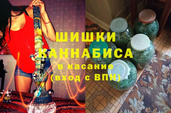 индика Беломорск