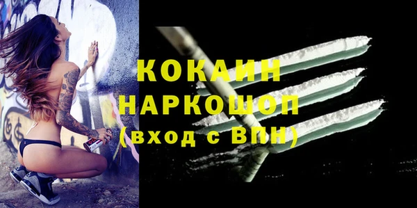 индика Беломорск